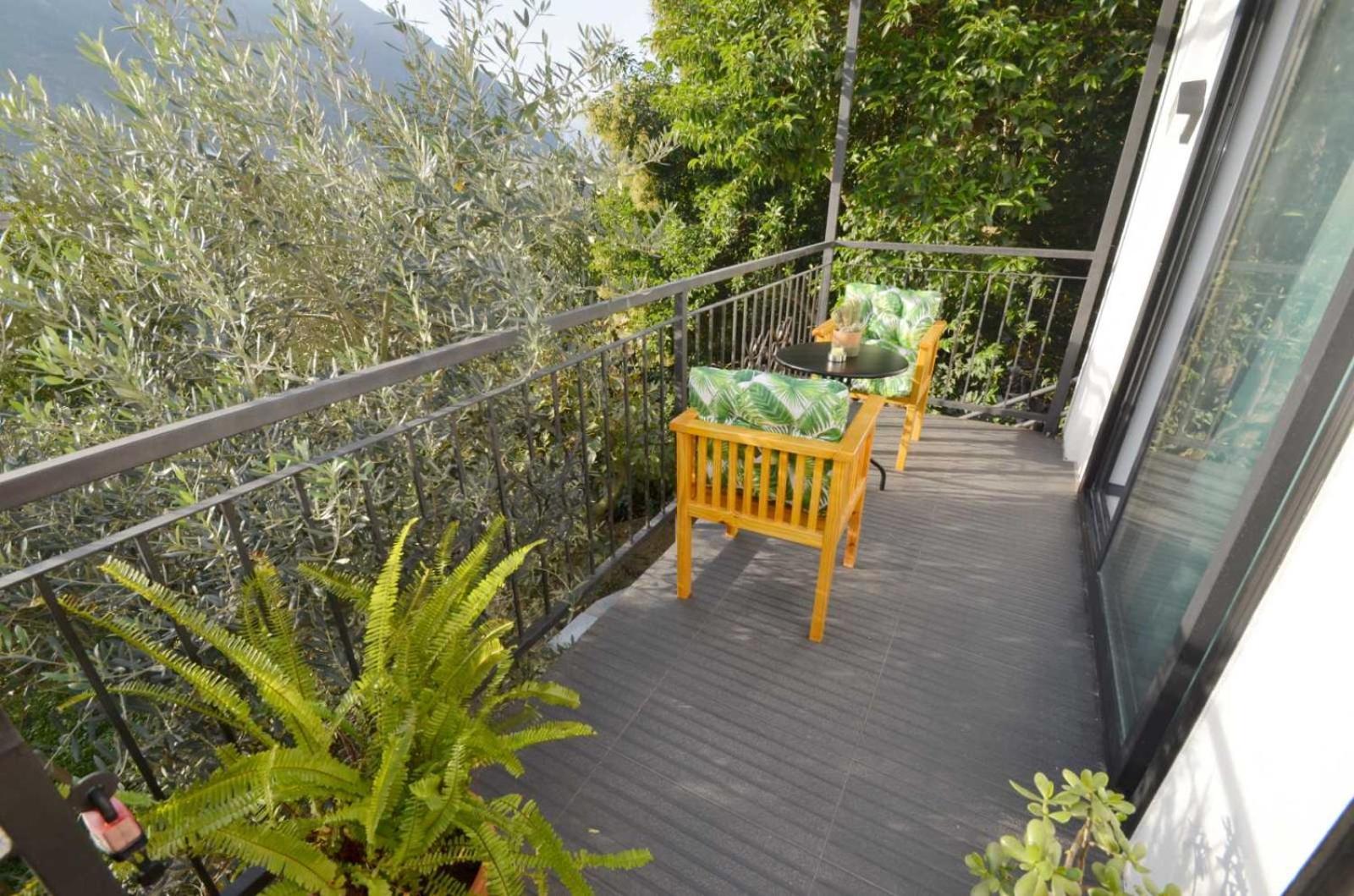 Spasoje Apartment Kotor