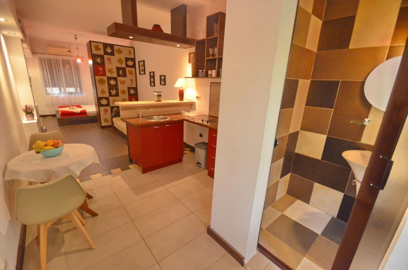 Apartment Spasoje *